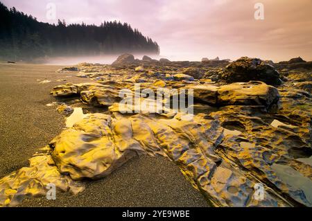 Sombrio Beach sur l'île de Vancouver en Colombie-Britannique, Canada ; Colombie-Britannique, Canada Banque D'Images