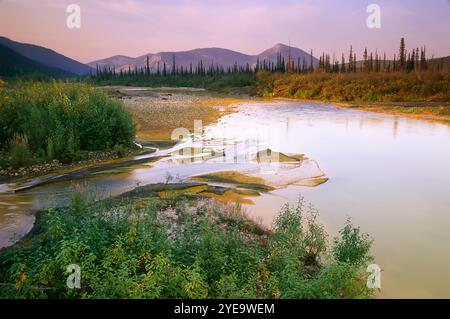 Red Creek dans les monts Ogilvie au Yukon, Canada ; Yukon, Canada Banque D'Images