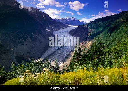 Saumon glacier dans les chaînes limites de la Colombie-Britannique, Canada ; Colombie-Britannique, Canada Banque D'Images