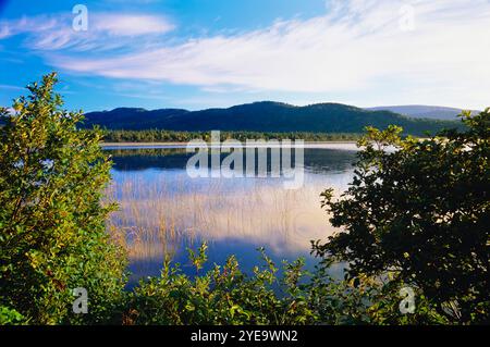 Magnifique paysage le long de la côte de Terre-Neuve à Norris point ; Terre-Neuve-et-Labrador, Canada Banque D'Images