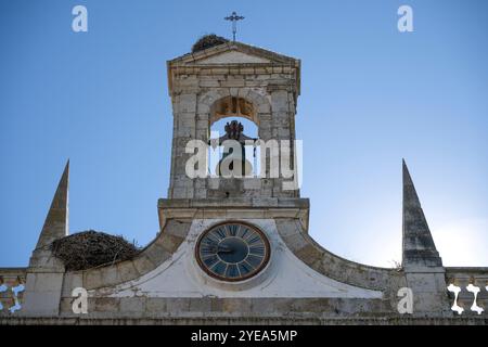 Horloge et clocher avec un oiseau nid contre un ciel bleu au crépuscule à Faro, Portugal. Faro est la capitale de la région de l'Algarve au sud du Portugal.... Banque D'Images