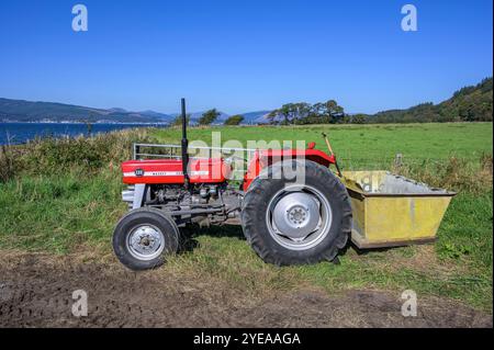 Tracteur Massey Ferguson 135 garé à côté d'un champ agricole, Renfrewshire, Écosse, Royaume-Uni, Europe Banque D'Images