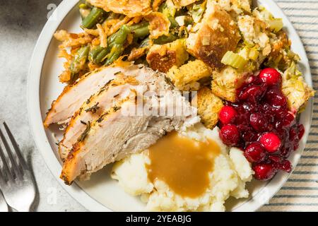 Assiette dinde de Thanksgiving avec haricots de farce de pommes de terre et canneberges Banque D'Images