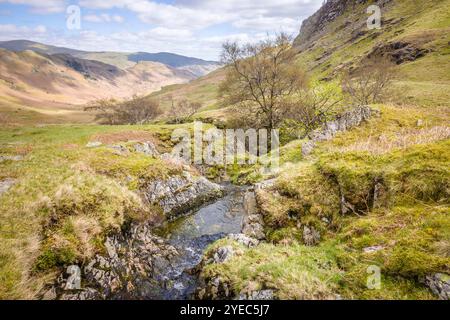 Ruisseau coulant à travers une vallée dans le paysage Cumbria au printemps. Far Easedale Gill, Grasmere, Lake District, Royaume-Uni Banque D'Images