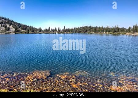 Lac glaciaire limpide dans les montagnes Rocheuses, révélant un éventail vibrant de pierres colorées sous ses eaux bleues transparentes. Banque D'Images