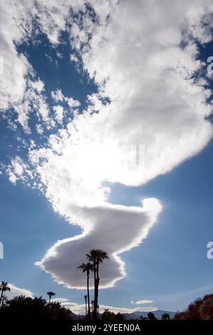 nature, paysage, ciel, palmiers, insolite, nuages, nuage, formations, lenticlar, désert, Palm Desert, Palm Springs, Californie, amérique, États-Unis Banque D'Images
