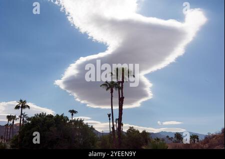 nature, paysage, ciel, palmiers, insolite, nuages, nuage, formations, lenticulaire, désert, Palm Desert, Palm Springs, Californie, Amérique, États-Unis Banque D'Images