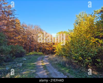 Incroyable vue d'automne de la montagne Plana, région de Sofia, Bulgarie Banque D'Images