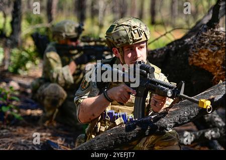 Jeffrey Barboza, aviateur senior de l'US Air Force, contrôleur d'entrée de l'installation du 20th Security Forces Squadron, scanne son secteur de responsabilité pendant l'exercice Spooky Weasel au Poinsett Electronic combat Range, S.C. 10 octobre 2024. L'exercice Spooky Weasel a inclus des membres de l'élimination des explosifs (EOD), des forces de sécurité et de la gestion des urgences afin de pratiquer une communication efficace au sein des équipes dans un environnement de combat simulé. (Photo de l'US Air Force par le sergent d'état-major Dallin Wrye) Banque D'Images