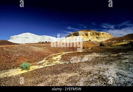 The Breakaways, Great Artesian Basin, Australie méridionale. Banque D'Images