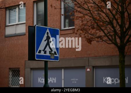 Hässleholm, Skåne, Suède. Octobre 28 2024. Signalisation routière suédoise. Banque D'Images