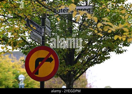 Hässleholm, Skåne, Suède. Octobre 28 2024. Signalisation routière suédoise. Banque D'Images