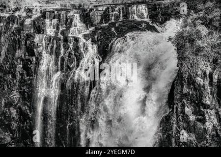 Cette image en noir et blanc capture une cascade étonnante, mettant en valeur la puissance et la beauté de la nature avec un flux et une texture spectaculaires. Banque D'Images