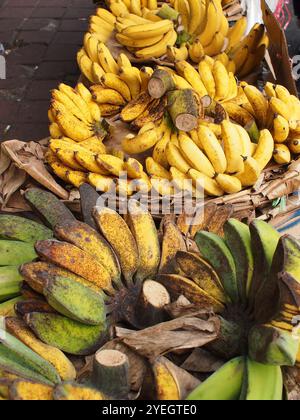 Différents types de bananes vendues sur le trottoir Banque D'Images