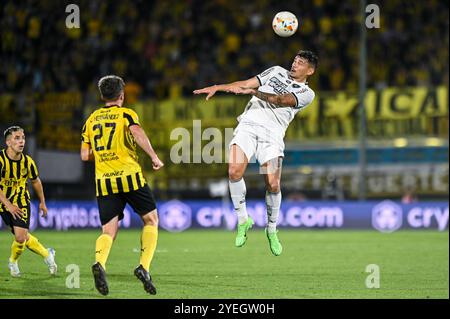 Montevideu, Uruguay. 30 octobre 2024. Lors de Peñarol x Botafogo, match valable pour la deuxième manche de la demi-finale de la Copa Libertadores 2024, qui se tient au stade Centenário, situé dans la ville de Montevideo, Uruguay, dans la nuit de ce mercredi (30). Crédit : Nayra Halm/FotoArena/Alamy Live News Banque D'Images