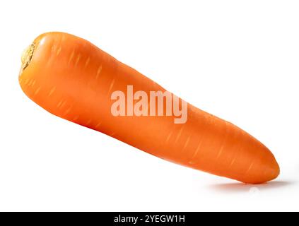 Vue de côté d'une carotte orange fraîche est isolée sur fond blanc avec chemin de détourage. Banque D'Images