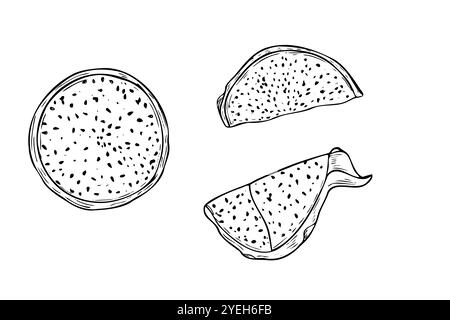 Tranches de pitahaya juteuses aromatiques avec illustration vectorielle dessinée à la main de pulpe peinte par des encres noires. Ensemble de dessin de gravure de fruit de dragon exotique Illustration de Vecteur