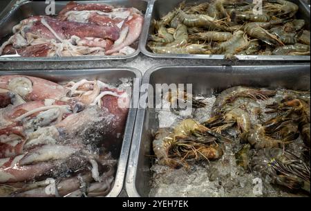 Udang, crevettes fraîches, Littopenaeus vannamei, et Cumi-cumi, calmars sur la glace dans le supermarché de Yogyakarta, Indonésie. Banque D'Images