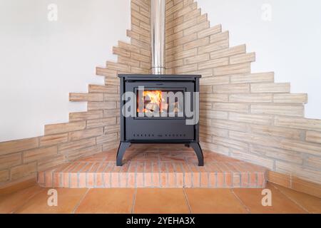 Cheminée à l'intérieur du salon de la maison. Salon confortable contemporain avec poêle à bois avec flamme brûlante derrière une porte vitrée Banque D'Images