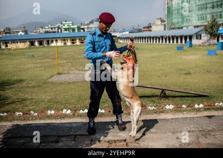 Katmandou, Népal. 31 octobre 2024. Un maître-chien de la police népalaise avec son chien montre des compétences de dressage lors d'une journée de culte de chien qui est célébrée dans le cadre du festival Tihar. Tihar est le deuxième plus grand festival du Népal consacré à un animal ou objet de culte différent, y compris les vaches, les corbeaux et les chiens. Le festival célèbre la relation puissante entre les humains, les dieux et les animaux. Crédit : SOPA images Limited/Alamy Live News Banque D'Images