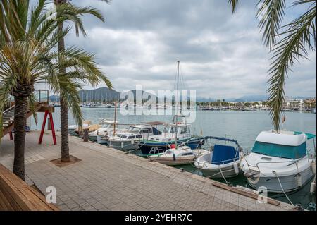 Port Alcudia, Majorque avec de petits bateaux de pêche et des navires ancrés au port, feuilles de palmier en face, majorque espagne Banque D'Images