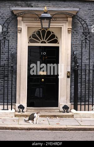 Londres, Royaume-Uni. 30 octobre 2024. Larry le chat, Chef Mouser, devant le numéro 10 le jour du budget, Downing Street, Westminster, Londres, le 30 octobre, 2024. Rachel Reeves est la première femme Chancelière de l'Échiquier et ce sera le premier budget du travail en 14 ans. Crédit : Paul Marriott/Alamy Live News Banque D'Images