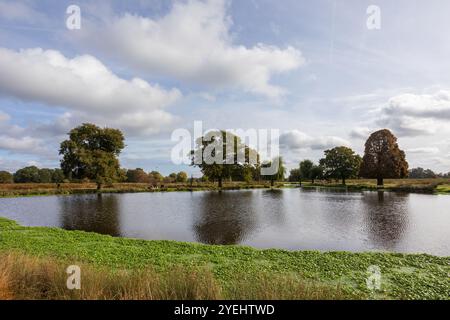 Étang dans Bushy Park, Londres, Royaume-Uni Banque D'Images