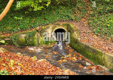 L'eau de pluie s'écoulant d'un tuyau d'évacuation en béton dans une forêt. Scène d'automne colorée, petit ruisseau d'eau, concept d'irrigation et de foresterie, pas de gens. Banque D'Images