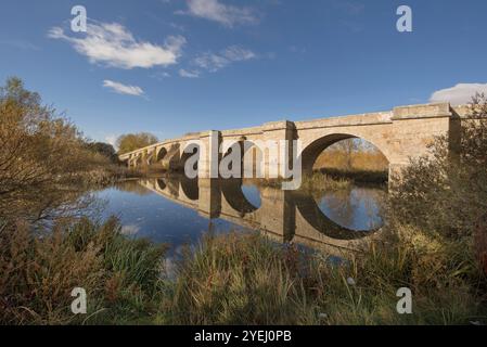 Le pont de Fitero, est un pont médiéval sur la rivière Pisuerga à St James Way à Palencia, Espagne, Europe Banque D'Images