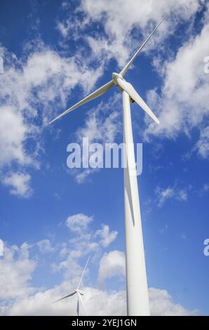 Les éoliennes Banque D'Images