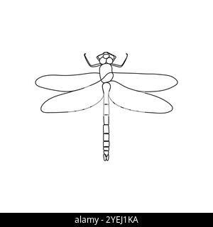 Insecte libellule dans un style de dessin de ligne. Illustration vectorielle minimale dessinée à la main. Illustration de Vecteur