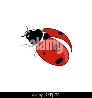 Coccinelle rouge ou coccinelle. Illustration vectorielle de dessin au trait. Illustration de Vecteur