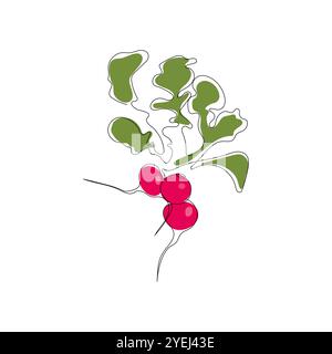 Faisceau de radis rouge dans le style de dessin d'art au trait continu. Esquisse monoligne noire minimaliste avec des taches de couleur isolées sur fond blanc. Nourriture fraîche. Illustration de Vecteur