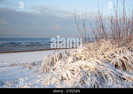 Rive de la mer Baltique couverte de neige à l'hiver en Lettonie Banque D'Images