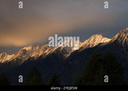 Lumière du soir dans les montagnes Rocheuses canadiennes dans la région de Kootenay est en Colombie-Britannique au Canada. Banque D'Images