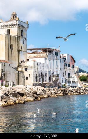 Mouettes volant au-dessus de l'île d'Ischia dans la baie de Naples dans la mer Méditerranée Banque D'Images