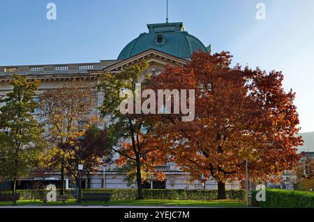 Incroyable vue d'automne pittoresque dans un jardin avec des arbres à feuilles caduques et des bancs en bois pour la détente, Sofia, Bulgarie Banque D'Images