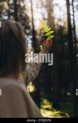 Lumière du soleil coulant à travers une feuille de fougère tenue dans la main d'une femme. Photo de haute qualité Banque D'Images