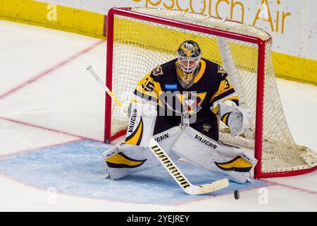 30 octobre 2024 : les Penguins de Wilkes barre Scranton Tristan Jarry (35 ans) défendent un tir au but lors d’un match de hockey dans la LNH contre les Islanders de Bridgeport au total Mortgage Arena à Bridgeport, Connecticut. Rusty Jones/Cal Sport Media (image crédit : © Rusty Jones/Cal Sport Media) Banque D'Images