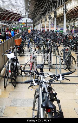 Hall de la gare de Paddington immense parc de vélos de banlieue dans une zone séparée à côté des vélos de plate-forme de train cadenassés à des cadres en acier Londres Angleterre Royaume-Uni Banque D'Images