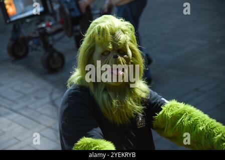 New York, États-Unis. 31 octobre 2024. Ambiance à NBC Today Show Halloween enregistrement au Rockefeller Plaza à New York, NY, le 31 octobre 2024. (Photo par Efren Landaos/Sipa USA) crédit : Sipa USA/Alamy Live News Banque D'Images