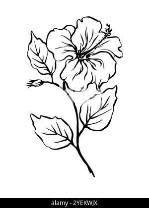 Fleurs et feuilles d'hibiscus dessinées à la main, illustration vectorielle monochrome de contour à main levée Illustration de Vecteur