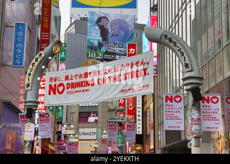 Une foule énorme à Shibuya, Tokyo au Japon pour célébrer Halloween. Il est devenu une tradition pour de nombreux habitants et touristes de descendre sur le célèbre Shibuya Scramble Crossing pour célébrer Halloween. Cependant, ces dernières années, il y a eu tellement de gens que la région a sombré dans le chaos. Cette année, la police a mis en place des contrôles pour arrêter de boire et de faire la fête de 18h à 4h du matin et a fait de la traversée un système à sens unique, pour essayer de maintenir l'ordre parmi la foule. Malgré les demandes de rester loin, la région était aussi occupée que jamais avec des gens appréciant l'atmosphère mondialement célèbre de Shibuya. Banque D'Images