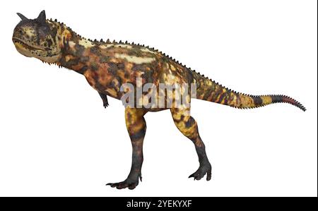 Dinosaure Carnotaurus isolé sur fond blanc Banque D'Images