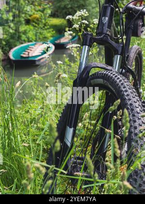 Balade paisible à vélo à travers une nature luxuriante, entourée d'arbres et d'air frais - un moment de détente et de liberté, embrassant la beauté du plein air. Banque D'Images