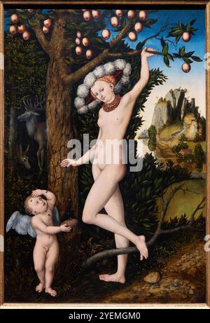 Cupidon se plaint à Vénus, 1526-1527, Lucas Cranach l'ancien (1472-1553), The National Gallery, Londres, Royaume-Uni Banque D'Images