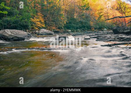 Petits rapides sur la rivière Youghiogheny. Parc national Swallow Falls. Oakland. Maryland Banque D'Images