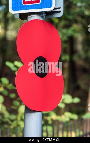 Un panneau commémoratif Red Poppy attaché à un poteau à Box Hill, Surrey Banque D'Images