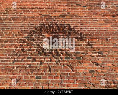 Traces de guerre - éclats d'obus, marques de balles sur le mur de briques rouges. Ancien mur médiéval de château à Malbork, Pologne Banque D'Images