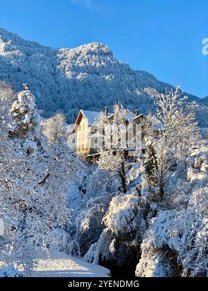 Charmante maison de montagne au milieu des arbres enneigés Banque D'Images